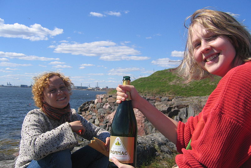 Fil:Suomenlinna picnic.jpg