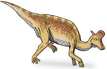 Lambeosaurus (rekonstruktion)
