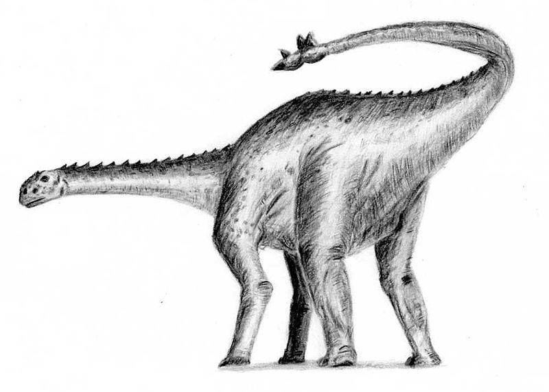 Fil:Shunosaurus.jpg