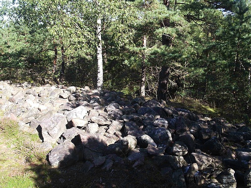 Fil:Skändlabergets fornborg (Källeberget), den 1 sept 2005, bild 4..JPG