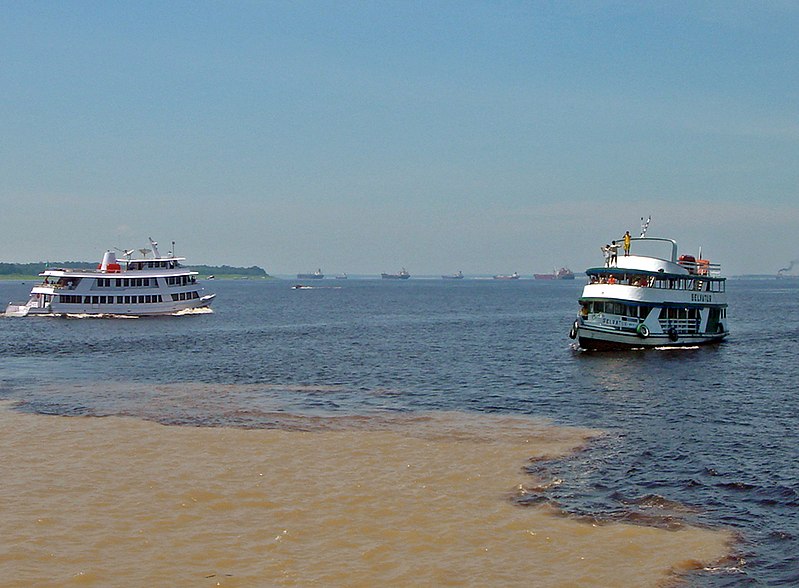 Fil:Manaus Encontro das aguas 10 2006 103 8x6.jpg