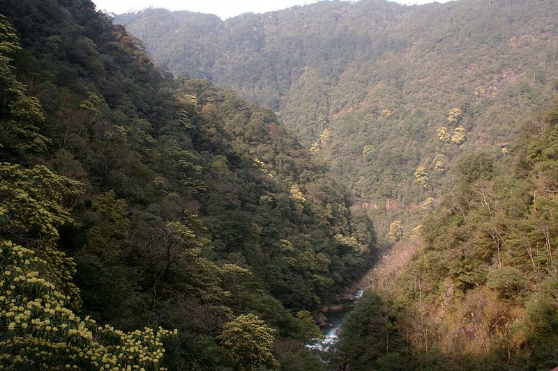 Fil:Wuyishan naturereserve.jpg