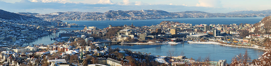 Centrala Bergen sett från syd. Nygård i mitten