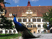 Schloss eggenberg.jpg