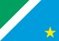 Mato Grosso do Suls flagga