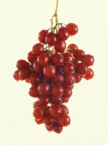 Fil:More grapes.jpg
