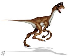 teckning som visar hur arten oviraptor skulle ha sett ut