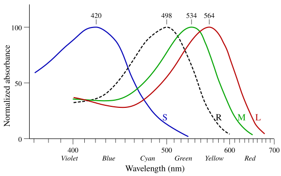 Fil:Cone-response.svg