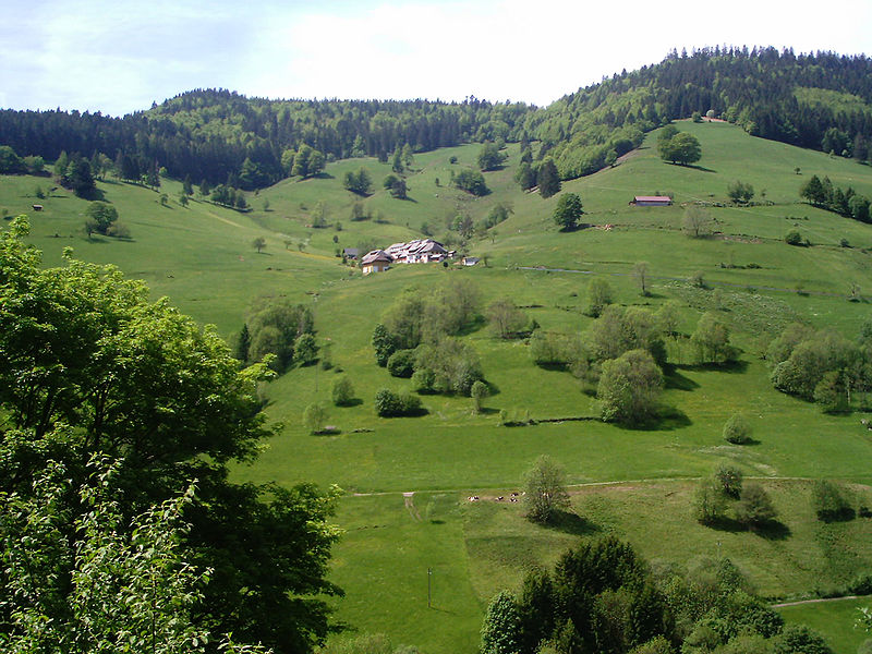Fil:Schwarzwald 1.jpg