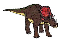 Hur Avaceratops kan ha sett ut.