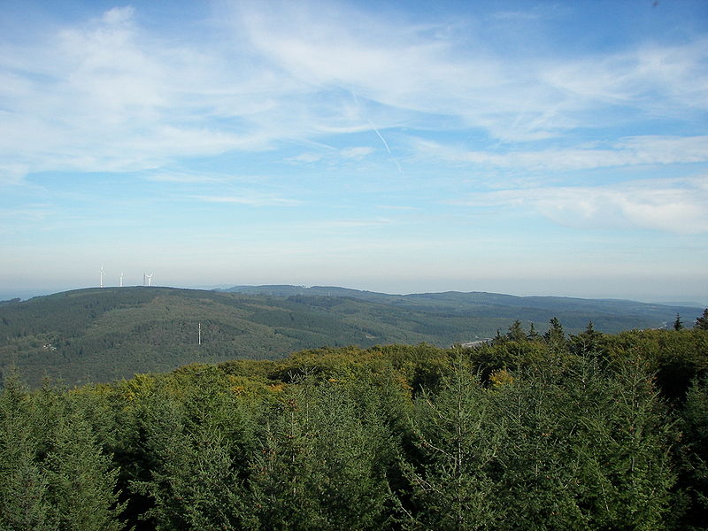 Fil:Binger Wald.jpg