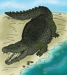Konstnärlig teckning av arten Deinosuchus hatcheri som jagar en Hyposaurus rogersi.