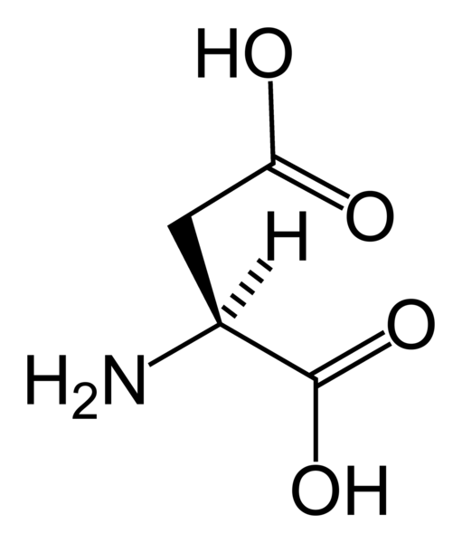 Fil:L-aspartic-acid-skeletal.png