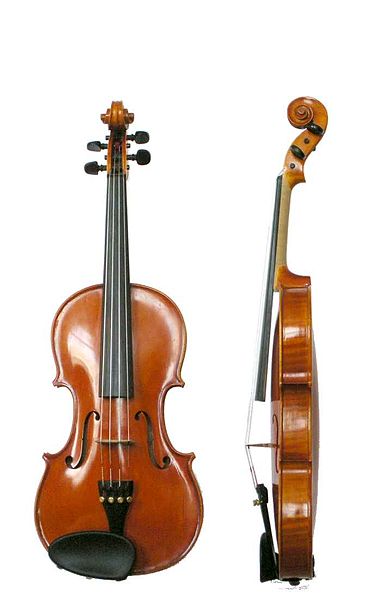 Fil:Violin VL100.jpg