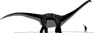 Hypotetisk illustration av Antarctosaurus.