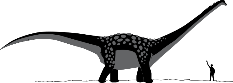 Fil:Antarctosaurus dinosaur.svg