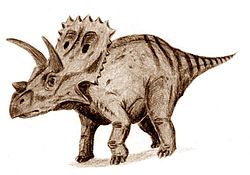 Illustration av Arrhinoceratops brachyops.