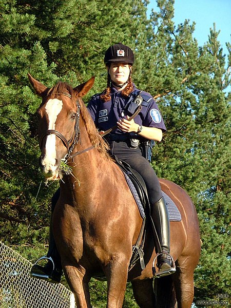 Fil:Mounted police officer in Helsinki Finland.jpg