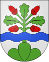 Schelten-coat of arms.svg