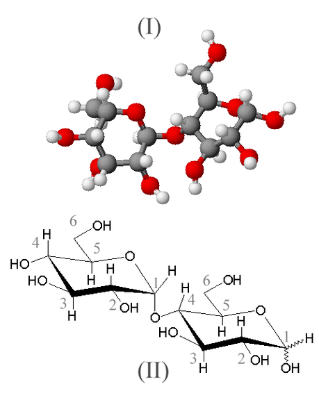 Fil:Maltose.png