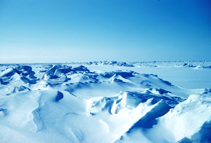Fil:Sea ice terrain.jpg