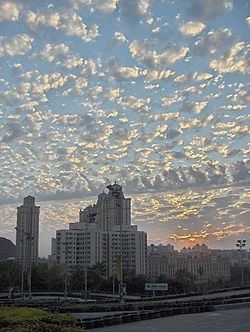 Altocumulus floccus ovanför Bombay i Indien. I höjd med topparna av de högsta byggnaderna ligger ett avlångt, grått moln av arten altocumulus castellanus.