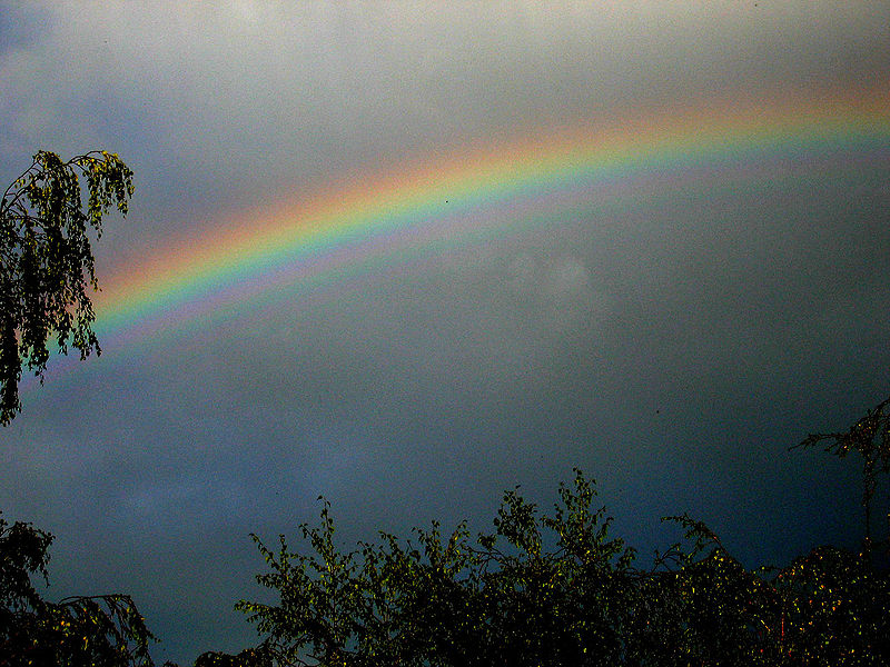 Fil:Supernumerary rainbow 01 contrast.jpg