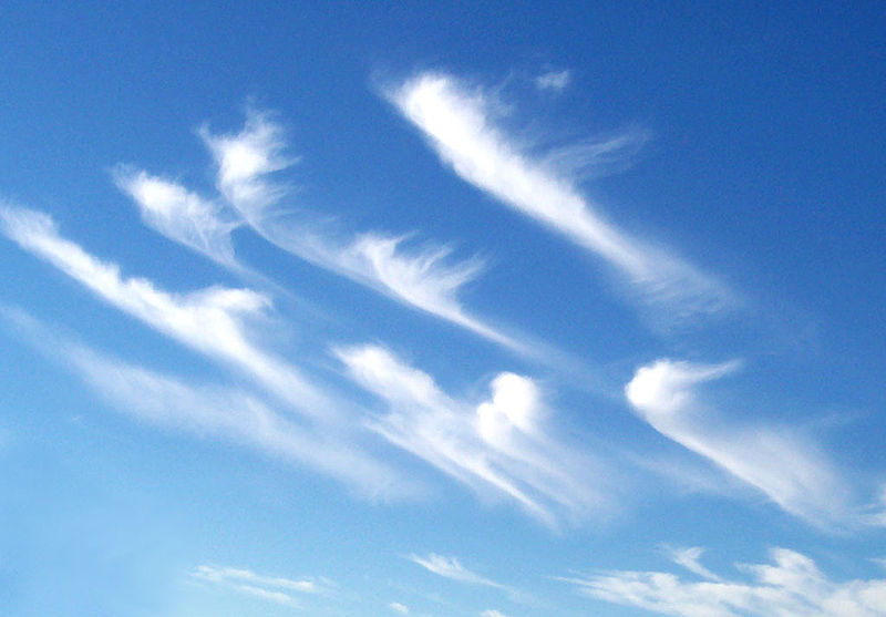 Fil:Cirrus clouds2.jpg