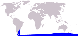Fil:Cetacea range map Spectacled Porpoise.PNG