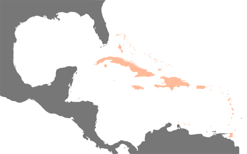 Fil:Karte Karibik Inseln.png