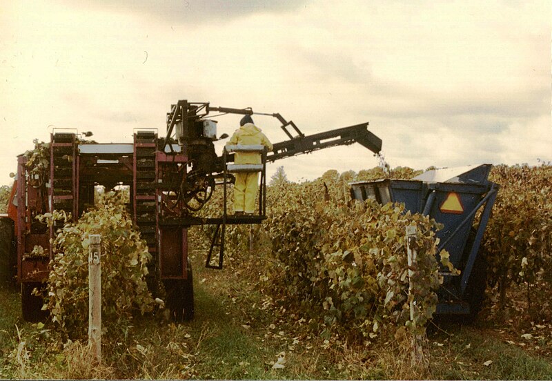 Fil:Mechanical Grape Harvester3.JPG