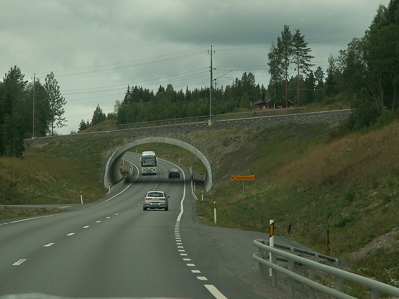 Fil:Riksväg 87 vid Svarthålsbyn.jpg