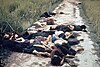 Massakern i My Lai.