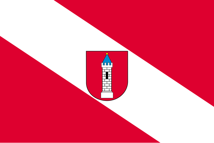 Fil:POL Wieluń flag.svg