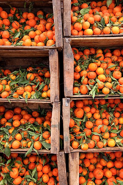 Fil:Boumalne du Dades, Oranges.jpg