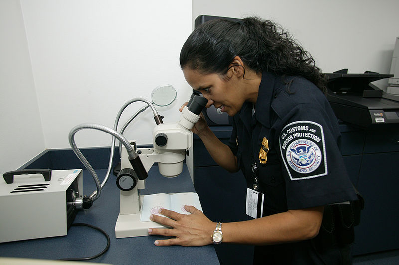 Fil:CBP checking authenticity of a travel document.jpg