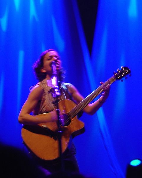 Fil:Ani DiFranco concert.jpg