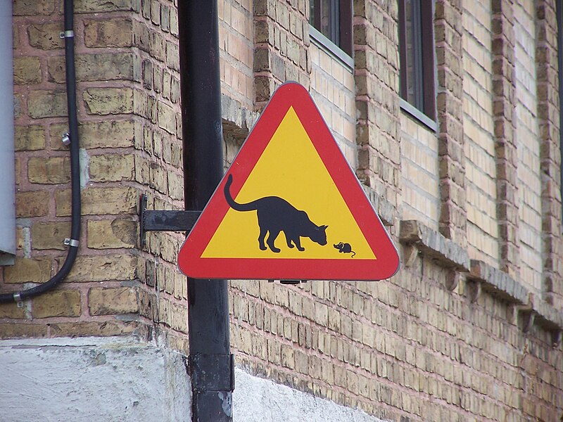 Fil:Road sign cat.jpg