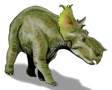 Illustration arten Pachyrhinosaurus lakustai