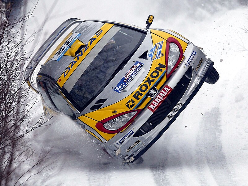 Fil:Peugeot 206 WRC.jpg