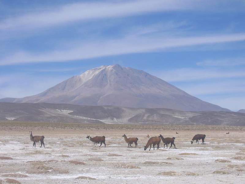 Fil:Salar Uyuni au02.jpg