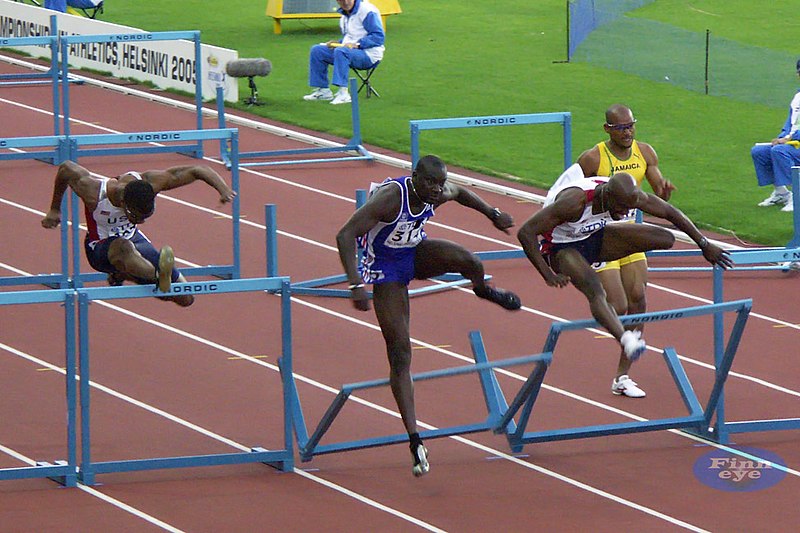 Fil:110m Helsinki 2005.jpg