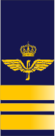 SWE-Airforce-major.png