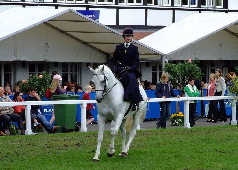 Fil:SideSaddle1.jpg