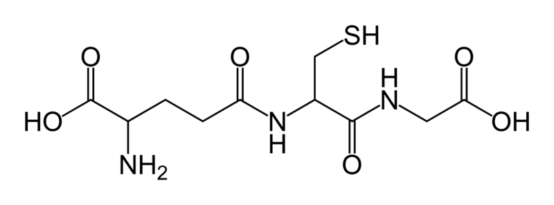 Fil:Glutathione-skeletal.png