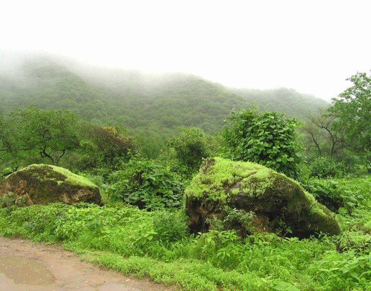 Fil:Salalah Oman.jpg