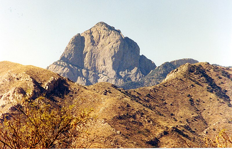 Fil:Baboquovari, Sonoran Desert.jpg