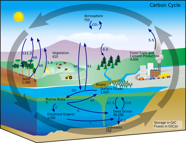 Fil:Carbon cycle-cute diagram.svg