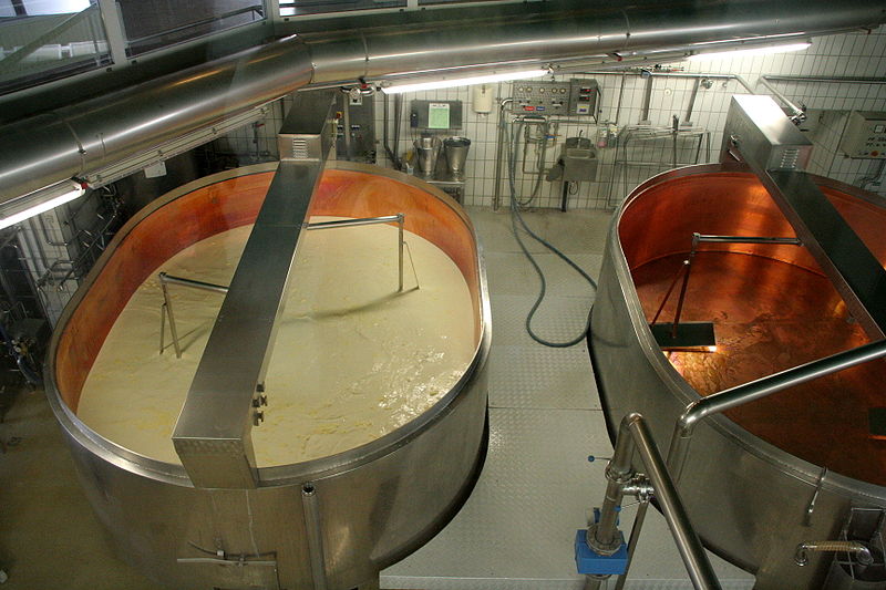 Fil:Production of cheese 1.jpg