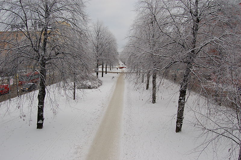 Fil:Valhallavägen Stockholm sydost i vinterdis.jpg